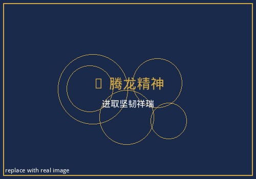 腾龙精神